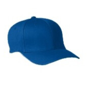 Flexfit 6-Panel Cap